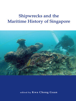 cover image of Shipwrecks and the Maritime History of Singapore